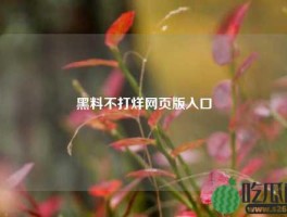 黑料不打烊网页版入口