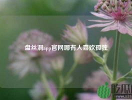 盘丝洞app官网哪有人喜欢孤独