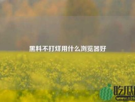 黑料不打烊用什么浏览器好